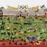 Das Cartoon-Poster "Zimmerer - Olympiade" zeigt cartoonhafte Sportler bei Spaß-Olympiaden im bunten Stadion, mit Olympia-Ringen im Hintergrund. Wertica Shop