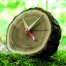 Tree O' Clock" ist eine runde Baumscheiben-Tischuhr mit sichtbaren Jahresringen, Zeigern und Aufdrucken, präsentiert auf Moos in der Natur. Wertica Shop