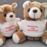 Zwei braun-weiße Teddys im Shirt "Dachdecker sind bärenstark!" sitzen auf grauem Stoff. Das Malbuch "Der kleine Dachdecker" liegt daneben. Wertica Shop